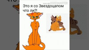 Реакция Огнезвезда на шипы