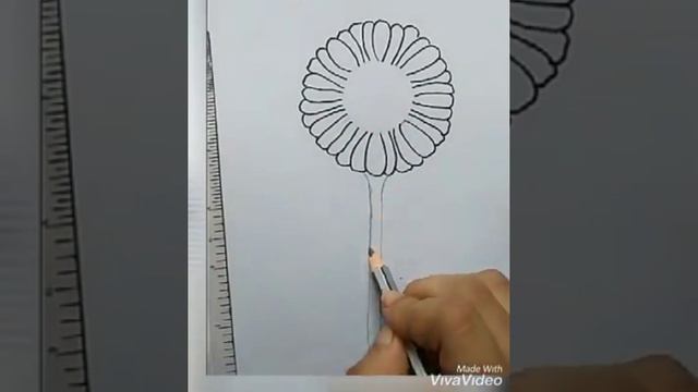 How to draw sunflower.