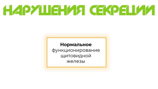Физиология щитовидной железы: синтез гормонов, их функции. Гипотиреоз, гипертиреоз