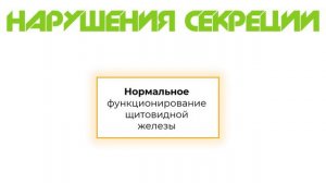 Физиология щитовидной железы: синтез гормонов, их функции. Гипотиреоз, гипертиреоз