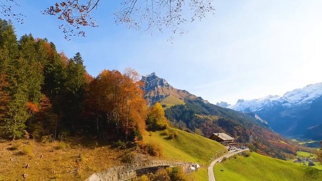 Внучка миллионера настояла на вскрытии двухдневной могилы старика. А едва откинули крышку гроба... смотреть онлайн