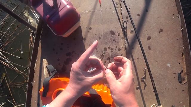 Караси от реки до сковороды?ASMR. Crucians out of the river into the pan. смотреть онлайн