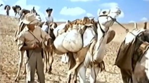 Долина Фараонов (1953г, США) фильм, приключения