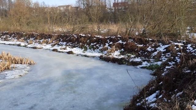 Обнаружена схема слива производственных отходов ООО "ПОЧЕП-МОЛОКО" смотреть онлайн