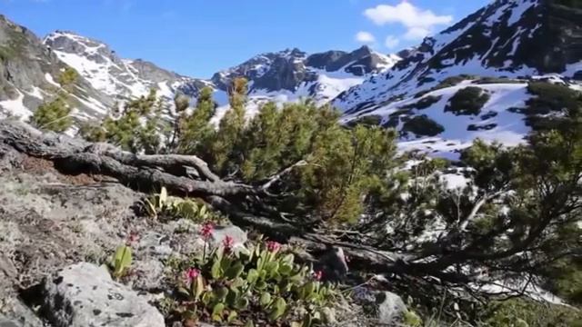 Северный край.mp4 смотреть онлайн