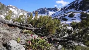 Северный край.mp4