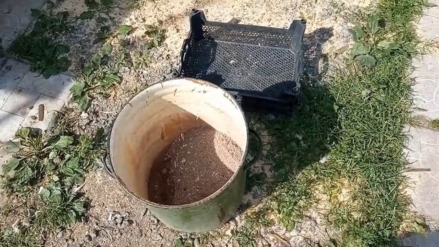 Как правильно приготовить зольную ванну.Старинный рецепт борьбы с насекомыми-паразитами у птиц. смотреть онлайн