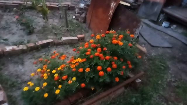 Дом из газобетона за 600 000 р.Армопояс,начало!Долой сорняк на участке! смотреть онлайн