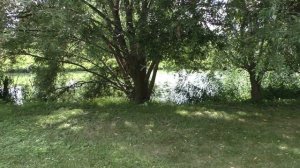 Музей - усадьба Веневитинова.Venevitinov Estate Museum