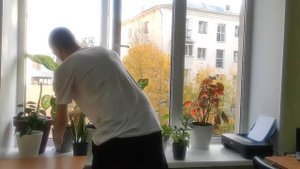 Пересадка цветов в офисе | делимся результатом