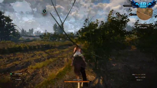 The Witcher 3 Killing a Griffin in my Underwear 60FPS смотреть онлайн