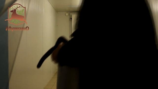 Пантовое оленеводство, Сафари-парк Мушкино, ферма по разведению европейского благородного оленя