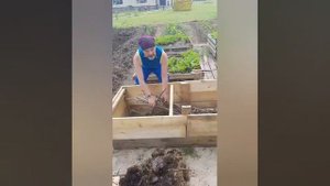Высокие грядки. Чем польза и как заполнять