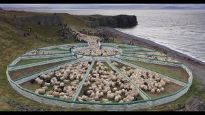 экспедиция ниже 60 градуса южной широты ||| expedition below 60 degrees south latitude