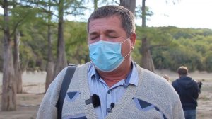 Впервые почти что за сто лет в Анапе были пересажены кипарисовые сеянцы