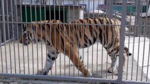 Зоопарк Симферополь