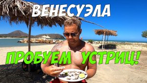 Устрицы - пробуем на вкус скользких обитателей морей