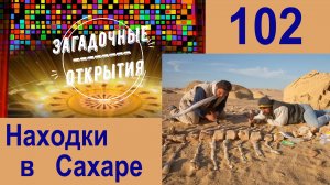Находки в пустыне САХАРА: новые метеориты, динозавры и КИТ с ногами. З/О_102.