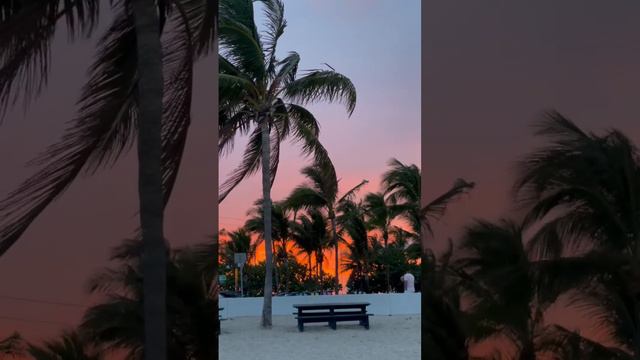 В Майами закат 🌅 почему они здесь такие красивые 😍