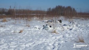 Нужен ли детям пейнтбол?  С какого возраста лучше играть?