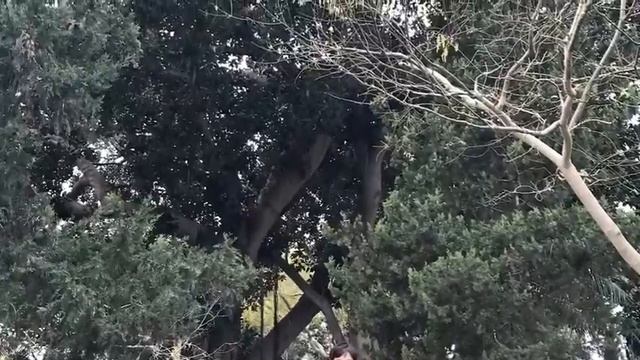 Malta - Birkirkara смотреть онлайн