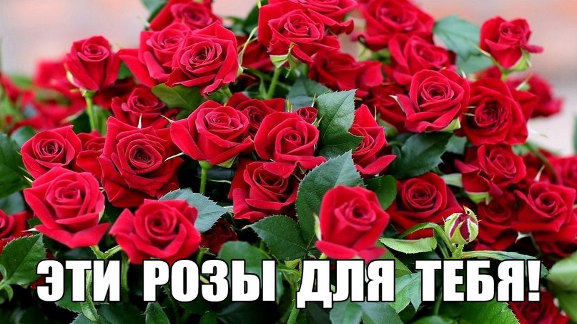 Розы маме стихи. Букет роз для тебя. Эти розы для тебя. Шикарный букет для мамы. Красивый букет роз для мамы.
