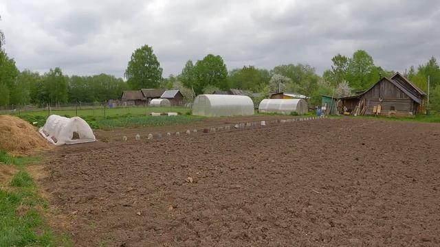 Готовлю "Поляну", доим Пестряну, с огородом все! Жизнь в деревне! смотреть онлайн