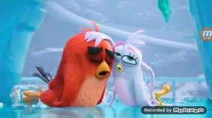 Энгри бердс 2 Сильвер и ред любовь