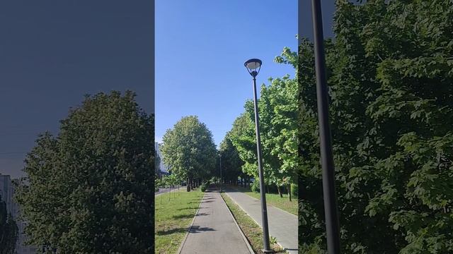 Video.Guru_20230522_090150610.mp4 смотреть онлайн