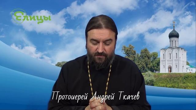 И нашим и вашим - так не получится! Прот. Андрей Ткачев. Елицы