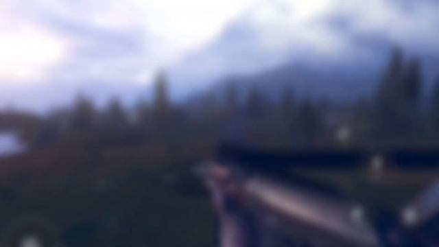 New Exclusive Information: Disarray Survival, Experiment Z, Retract Battle Royale!