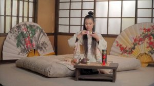 Японский футон Mr. Mattress Shikima