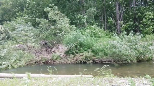 Ловим мальму. И горбуша в прилове. смотреть онлайн