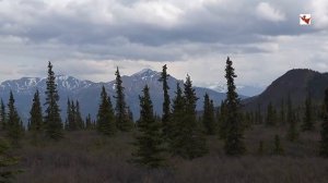 Как научиться не говорить лишнего. Сила молчания.mp4