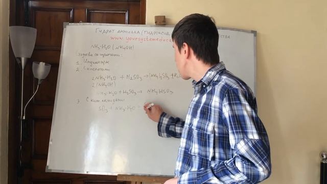 Гидрат аммиака (гидроксид аммония) и его свойства. Самоподготовка к ЕГЭ и ЦТ по химии