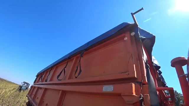 Краснодарский Край Уборка Подсолнечника 2022 / ЧТО ПОШЛО НЕ ТАК /Мало вырастить..Ещё и продать нужн смотреть онлайн