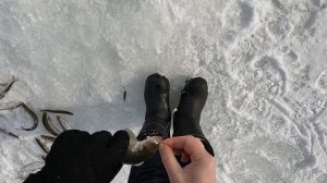 Рыбалка на корюшку. Весна 2022. Зимняя рыбалка. Winter fishing for wicked smelt.