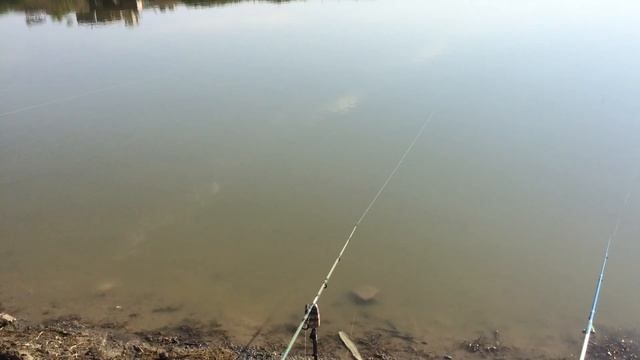 Рыбалка в Крыму 30.06.2020 с. Отрадное оз. ГерАмур. смотреть онлайн