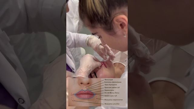 АНО ДПО Институт красоты Джаватхановой Амины . Курсы ПП для лиц с медицинским образованием и без. смотреть онлайн