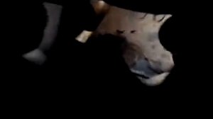 замена задних амортизаторов мерседес w210