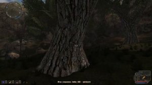 S.T.A.L.K.E.R. - Время Альянса 3 - Связь времён. #39.Тайник наёмников в Тёмной лощине