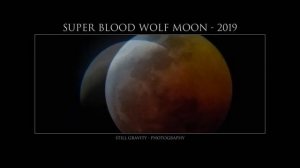 PHOTOGRAPHY | Super Blood Wolf Moon