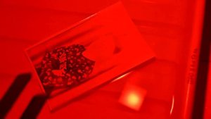 Печать фотографий с фотоувеличителем и проявителем. Ulibochku.ru