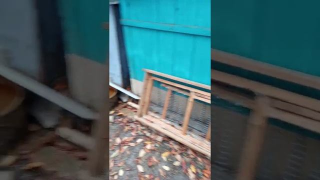 Уборка мусора на даче