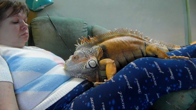 Пристает смотреть онлайн