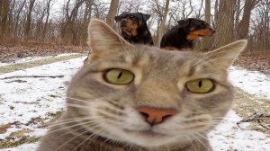 mama im a criminal 😥😰 1 час