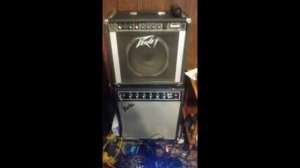 Peavey Bandit + Fender Bassman Compact clear tone