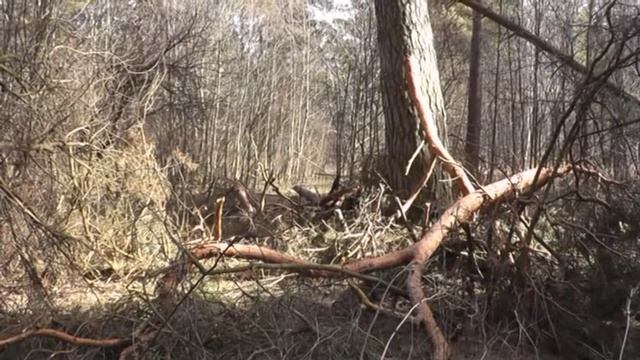 Гнездо подорлика часть вторая смотреть онлайн