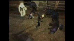 Neverwinter Nights (Трейлер игры 2002 года)