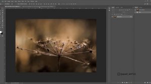 Обработка raw в Lightroom